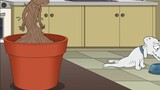 【Family Guy】Koleksi tanaman yang luar biasa!
