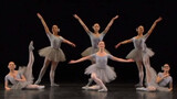 Kutipan dari Balet Komedi "The Concert": "Stupid Swan"