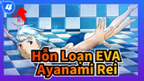 [Hỗn Loạn EVA] Bản cắt của Ayanami Rei (tập1-11)_4