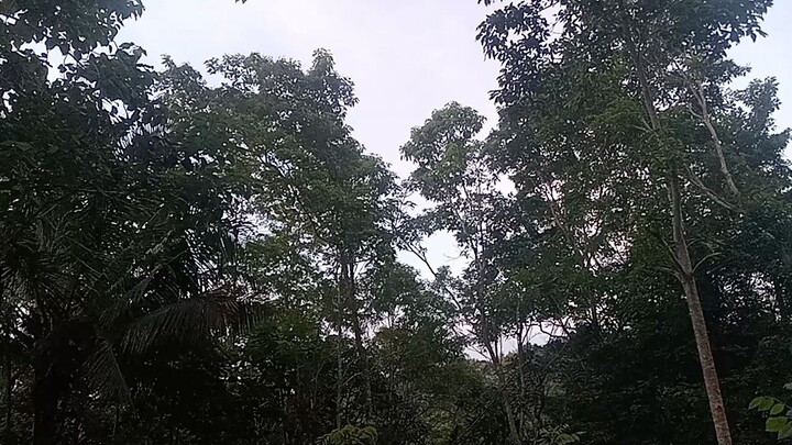 lubang buaya alam gaib the movie