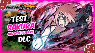 NTBSS / Test Sakura Grande Guerre (FR)