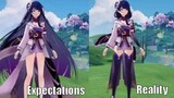 Raiden Shogun Banner - Expectations vs Reality