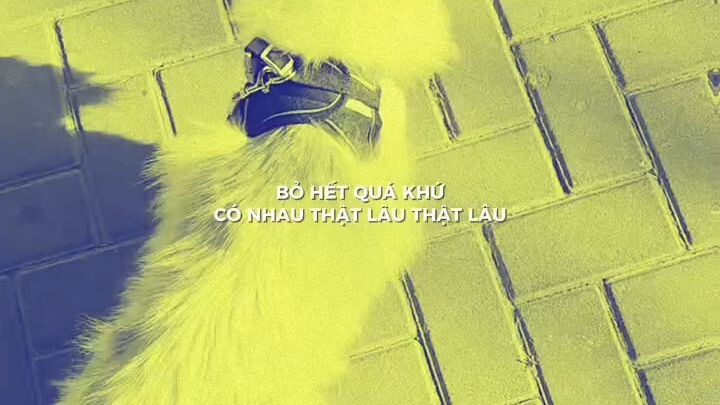 from: Việt Nam   xuhuong