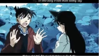 AMV  Shinichi Ran |  I really like you | Celeina Ann Cover vietsub