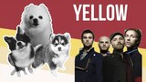 Yellow but Dogs Sung It (Doggos and Gabe)
