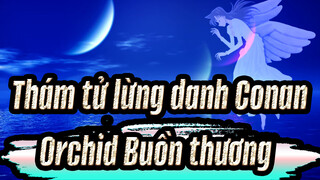 Thám tử lừng danh Conan|【MAD quyến rũ】Orchid Buồn thương