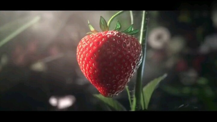 草莓原来是这样长成的！真！恐怖故事