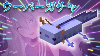 【Minecraft】青ウーパーガチャvs物欲センサー【獅白ぼたん/ホロライブ】