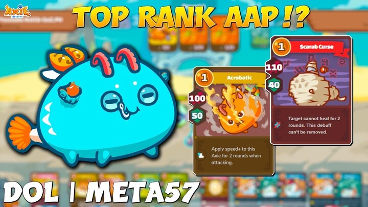 ACROBAT + SCARAB TOP RANK AAP! Dol | META57👹 | AQUA AQUA PLANT GAMEPLAY!