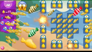 Yellow 💛 jelly fish mix color bomb combo | Candy crush saga special yellow jelly fish level