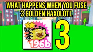 What Happens When You Fuse 3 Golden Haxolotl in Pet Simulator X