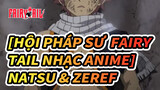 [Hội pháp sư Fairy Tail Nhạc Anime] Quá khứ của Natsu & Zeref / Nhạc Nền: TRILLS