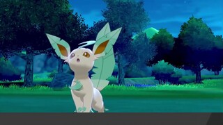 Sword and Shield - Thuật sĩ giải phóng mặt bằng một tuần đã đề xuất viên đạn đầu tiên! Pokémon Sword and Shield