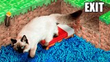 I Put My Cat In A Cardboard Minecraft Maze