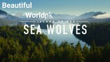 Island of the Sea Wolves  4K