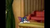 Tom & Jerry Still DRE