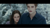 Twilight 3 (2010)
