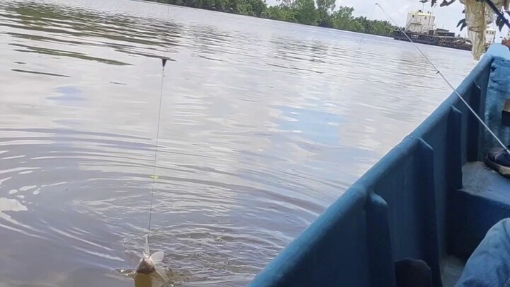 #mancing..... #PemburuGalah
