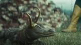 This crocodile is also Loki?