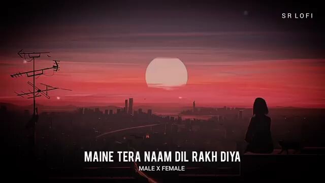 MAINE TERA NAAM DIL RAKH DIYA 2025