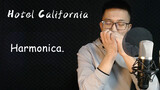 【Harmonica】Hotel California