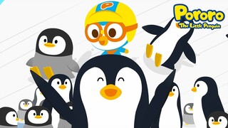 Selamat Hari Penguin Sedunia | Lagu Penguin | Lagu binatang | Lagu Anak | Nyanyi sama Pororo