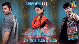 Tan Man Neel o Neel | Episode 01 | Shuja Asad - Sehar Khan | Pakistani Drama | Hum TV