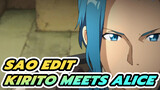 When Kirito and Alice First Met | Sword Art Online