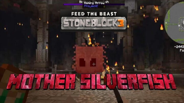 「FTB」「 Stoneblock3 」 MotherSilverfish Fight