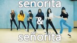 (G)idle's Dance Fits the Tempi of Señorita Perfectly