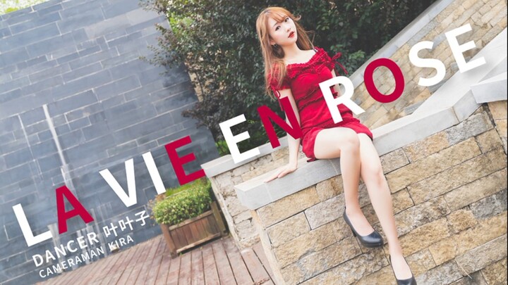 【叶子】la vie en rose 做你的玫瑰女孩 七夕快乐
