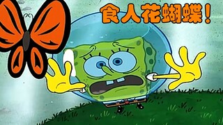 海绵宝宝：好朋友被食人蝴蝶吃掉！全城陷入恐慌