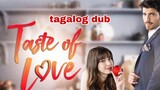 Taste Of Love Ep 10 tagalog dub turkish drama