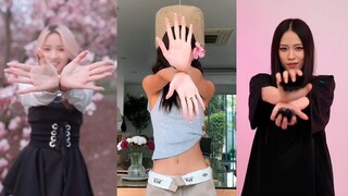 JISOO '꽃 FLOWER Dance Tik Tok Challenge Compilation 2023 - #jisoo #jisooflower