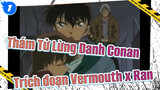 [Thám Tử Lừng Danh Conan] Cảnh đáng yêu của Vermouth x Ran #1_1