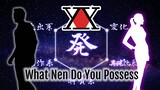 What is your Nen Type? (Personality)