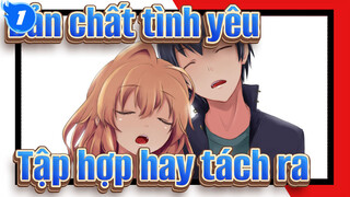 [Bản chất tình yêu! AMV] Tập hợp hay tách ra, tất cả đã được định sẵn_1