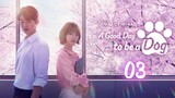 🇰🇷 Ep.3 | AGDTBAD: A Lovely Day With You (2023) [Eng Sub]