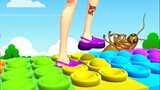 ✅ Tippy Toe 3D in Max Level Gameplay iOS,Android Walkthrough Update All Trailers Mobile Game PPDJRS