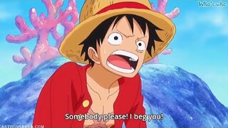 Luffy bows his head to save sanji