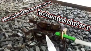 BestVines ฉบับสัตว์โลก EP.8  [พากย์นรก]