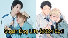 Sugar Dog Life (2024 Ep.1 Eng Sub