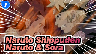 Naruto Shippuden
Naruto & Sora_1