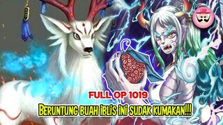 FULL OP 1019 - ALASAN KAIDO SUSAH PAYAH MENCARI BUAH IBLIS YAMATO!! TERNYATA PUNYA KEMAMPUAN SPESIAL