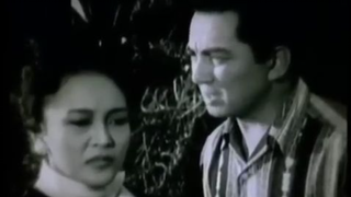 Ang Tangi Kong Pag-ibig 1955