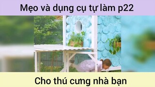 Mẹo và dụng cụ tự làm cho thú cưng p22