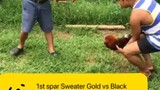 1st spar Sweater Gold vs Roundhead