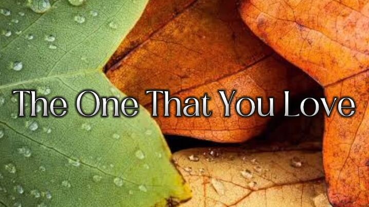 The one That you Love by Air Supply