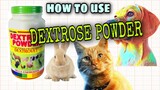 HOW TO USE DEXTROSE POWDER AND ITS BENEFITS TO PETS #dextrosepowder