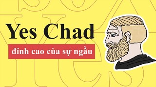 YES CHAD MEMES (NORDIC GAMER) LÀ GÌ? | MEME SỰ KHÁC NHAU GIỮA CON TRAI VÀ CON GÁI | TỪ ĐIỂN INTERNET